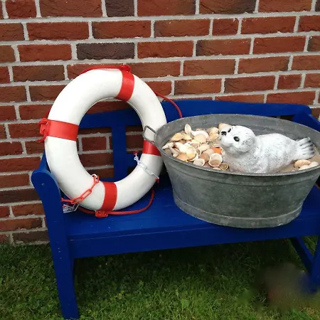 Seehund Krummhoern